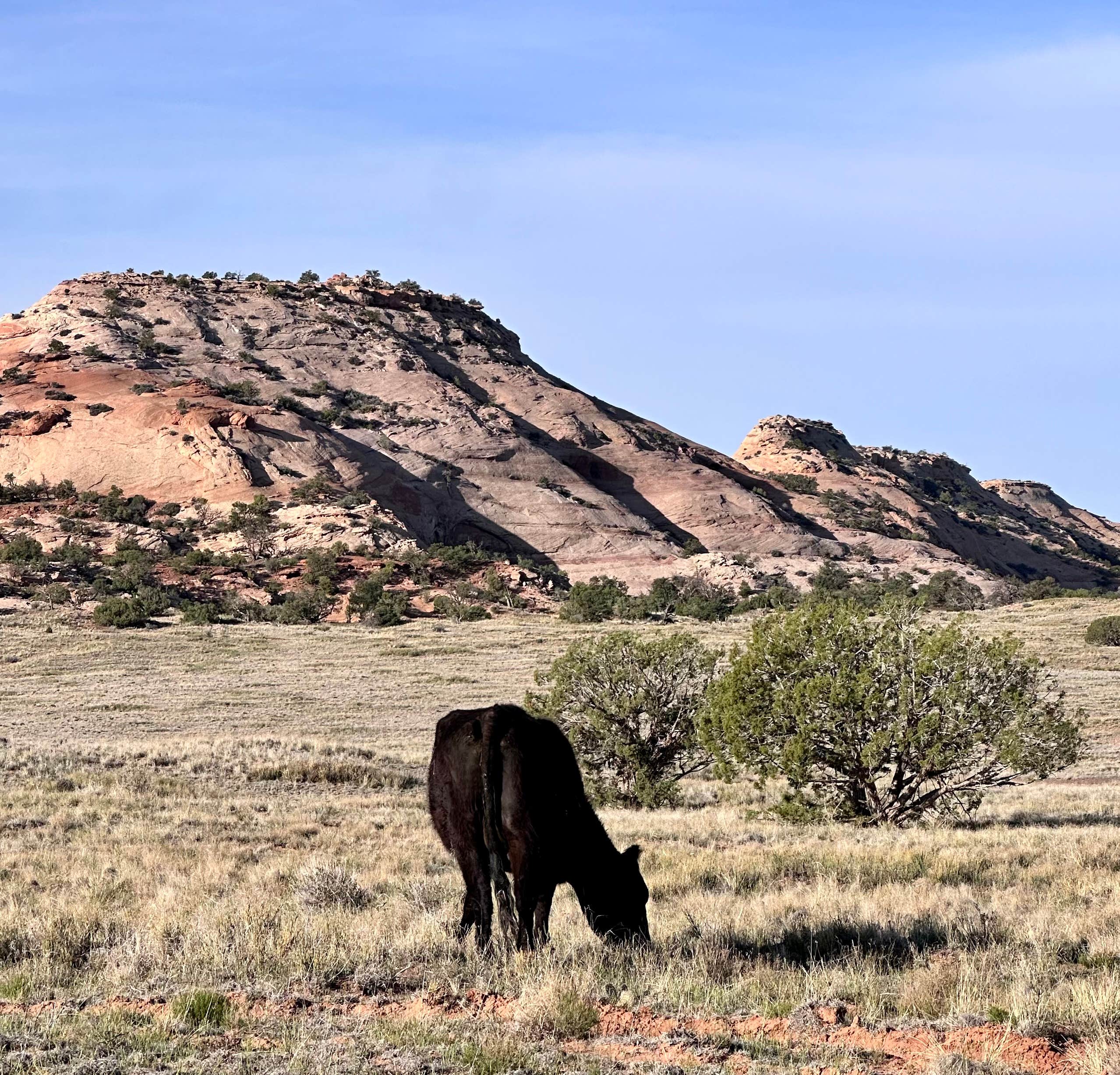 Camper-submitted photo at before entrance np near Canyonlands National Park