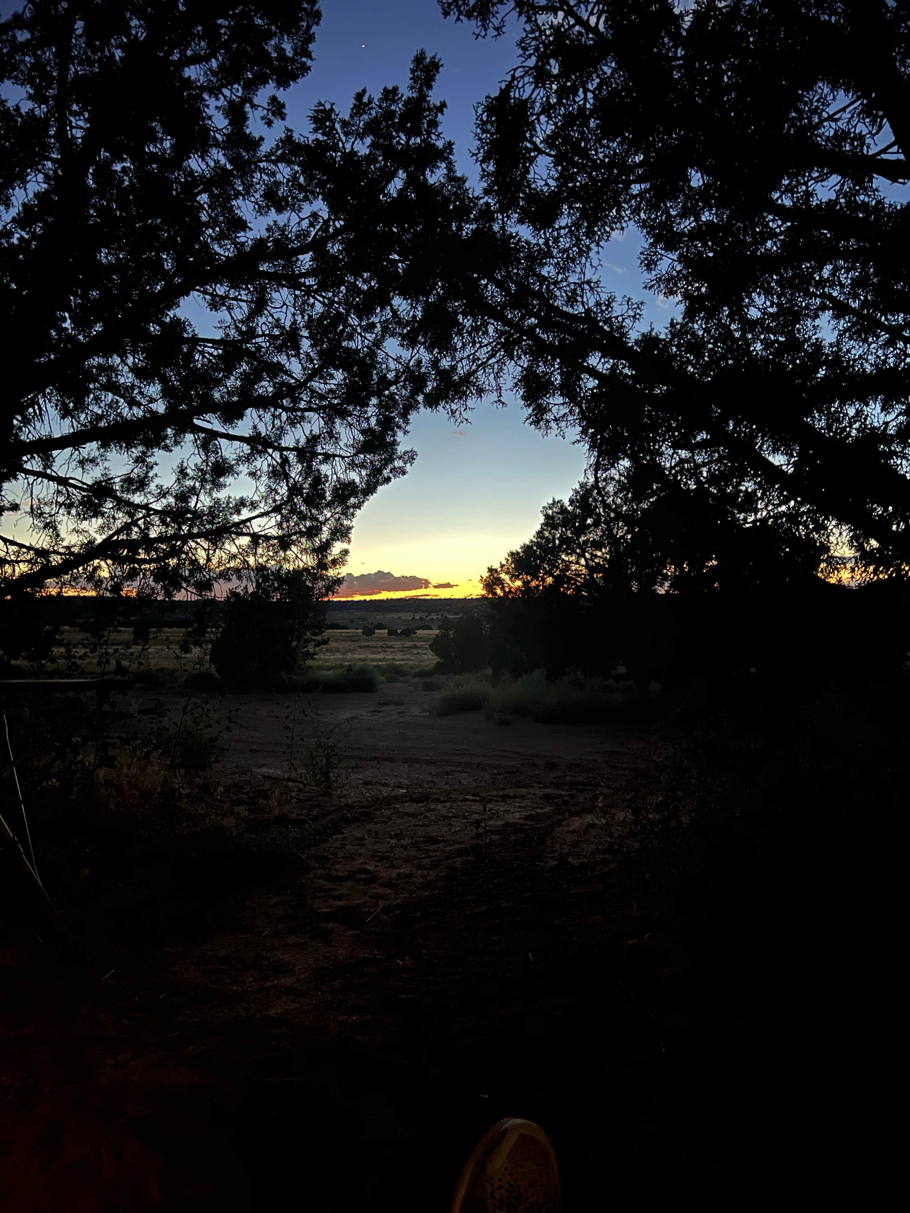 Jeff H.'s photo of a dispersed camping area at Behind the Rocks Road Dispersed near La Sal, UT