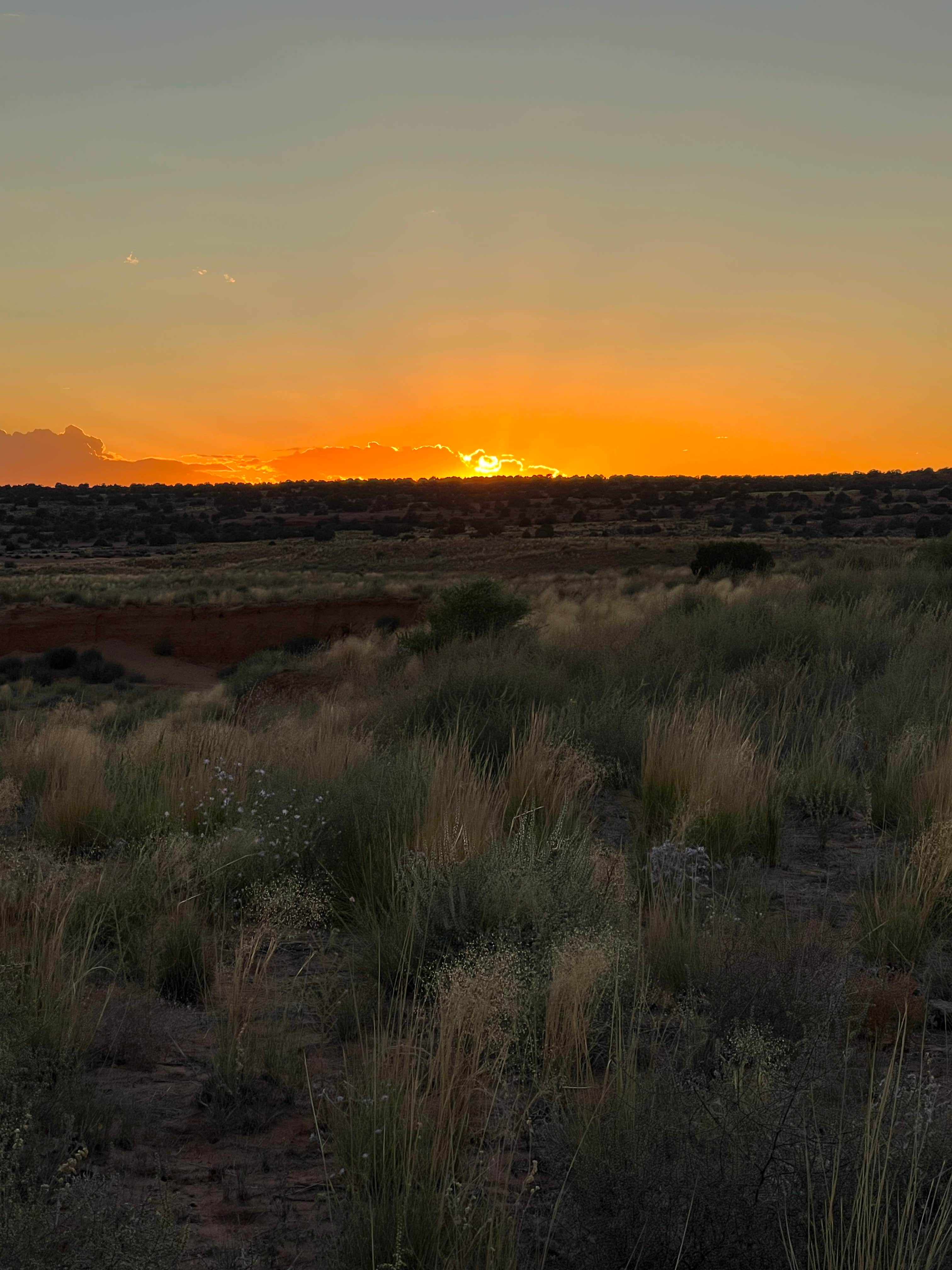 Jeff H.'s photo of a dispersed camping area at Behind the Rocks Road Dispersed near Canyonlands National Park