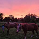 Review photo of Bell Oaks Ranch by a B., January 30, 2026