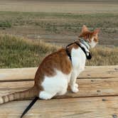 Review photo of Belle Fourche Reservoir by Claire G., August 9, 2026