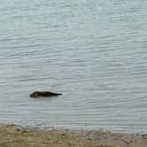 Review photo of Belle Fourche Reservoir by Kevin H., August 10, 2024