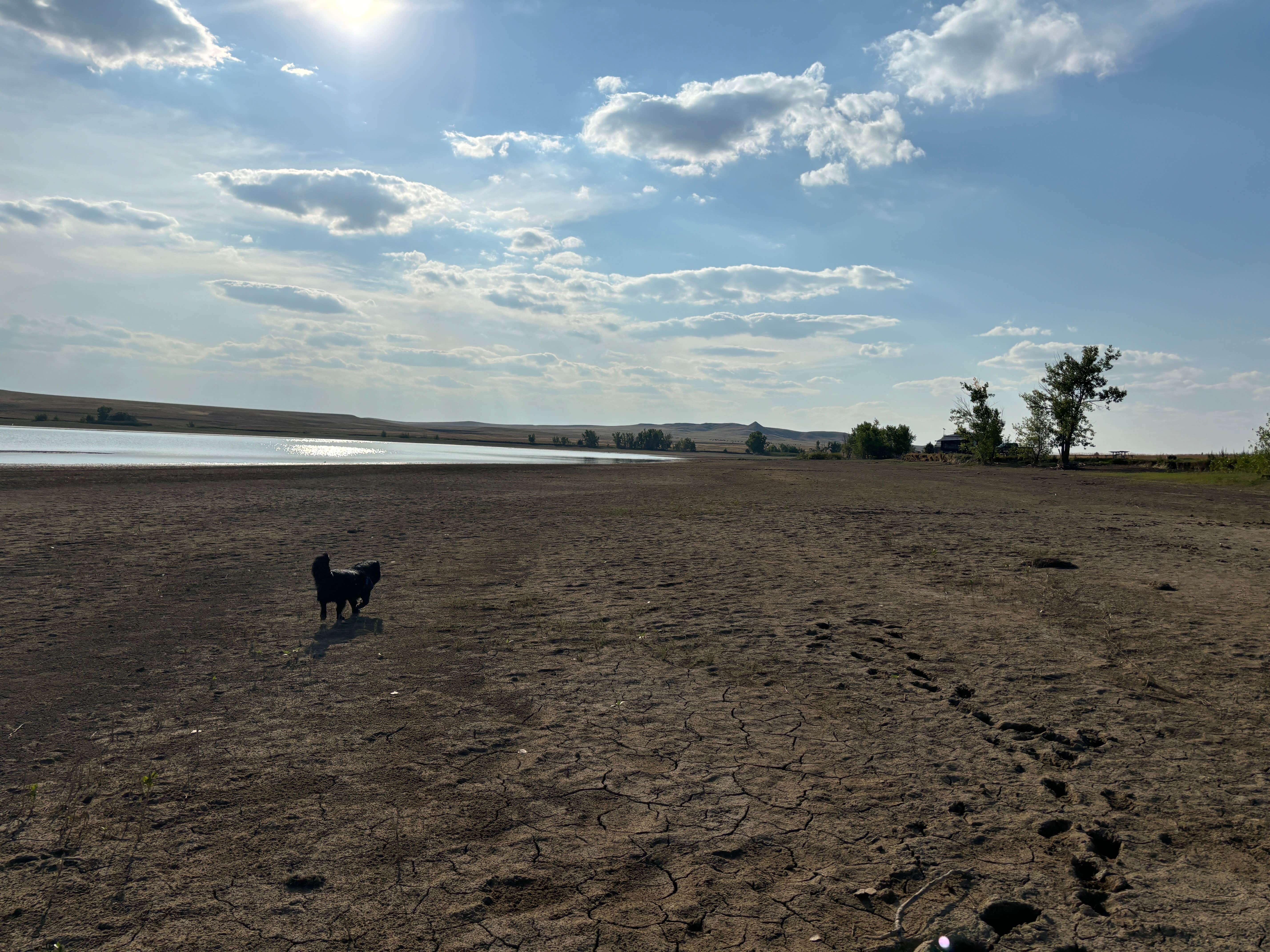 Kevin H.'s photo of camping with pets at Belle Fourche Reservoir near Spearfish, SD