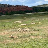 Review photo of Belle Fourche Campground at Devils Tower — Devils Tower National Monument by Rebecca , July 30, 2026