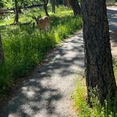 Review photo of Belle Fourche Campground at Devils Tower — Devils Tower National Monument by Rebecca , July 30, 2026