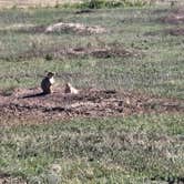 Review photo of Belle Fourche Campground at Devils Tower — Devils Tower National Monument by Jason S., August 25, 2025