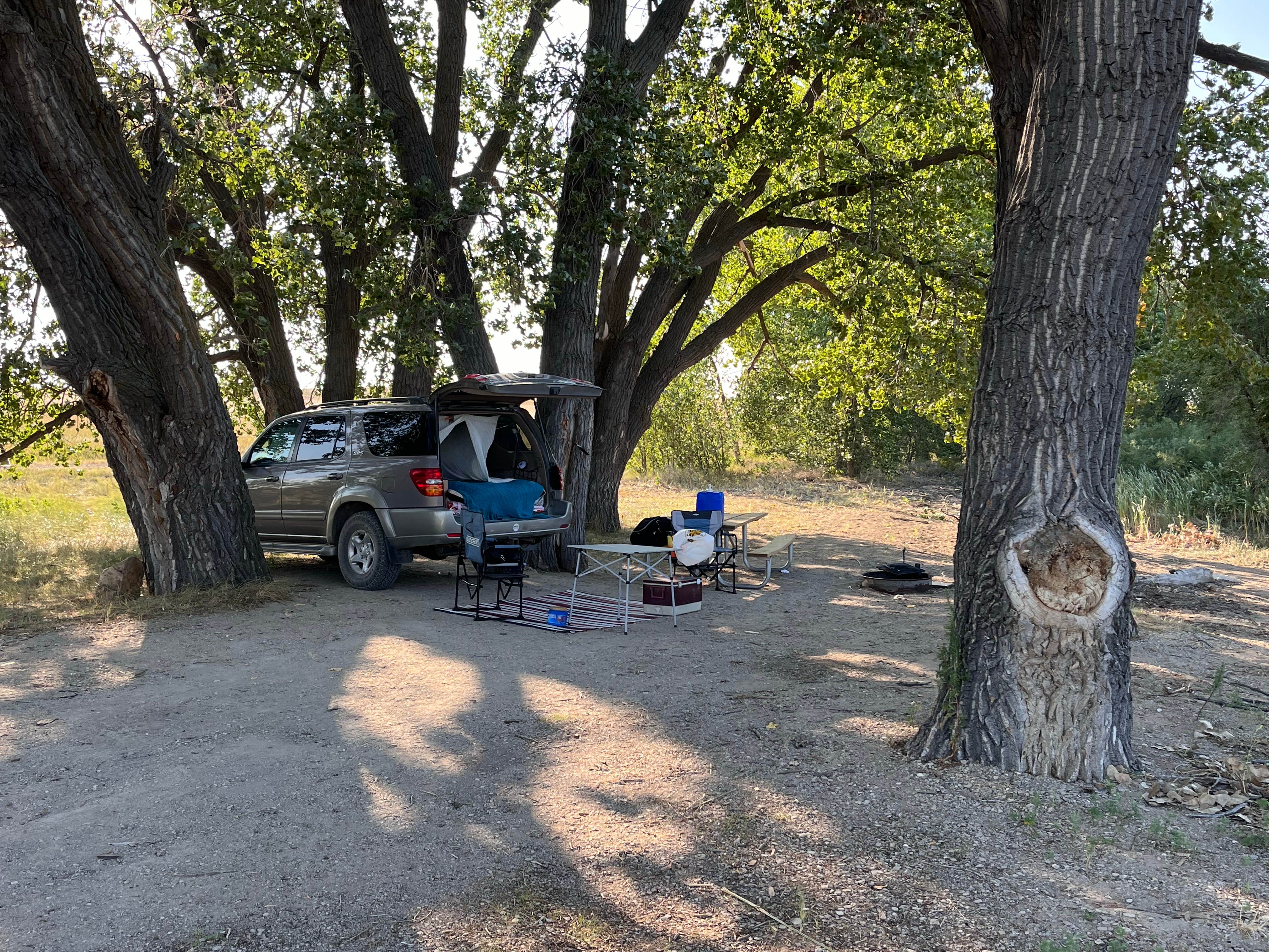 Camper submitted image from Belle Fourche Dispersed Site - 4