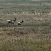 Review photo of Belle Fourche Dispersed Site by Pallah B., July 16, 2024