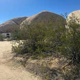 Review photo of Belle Campground — Joshua Tree National Park by Alisa P., October 12, 2025