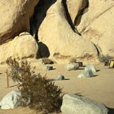 Review photo of Belle Campground — Joshua Tree National Park by Jennifer H., January 12, 2024