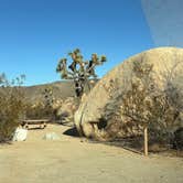 Review photo of Belle Campground — Joshua Tree National Park by Jennifer H., January 12, 2024