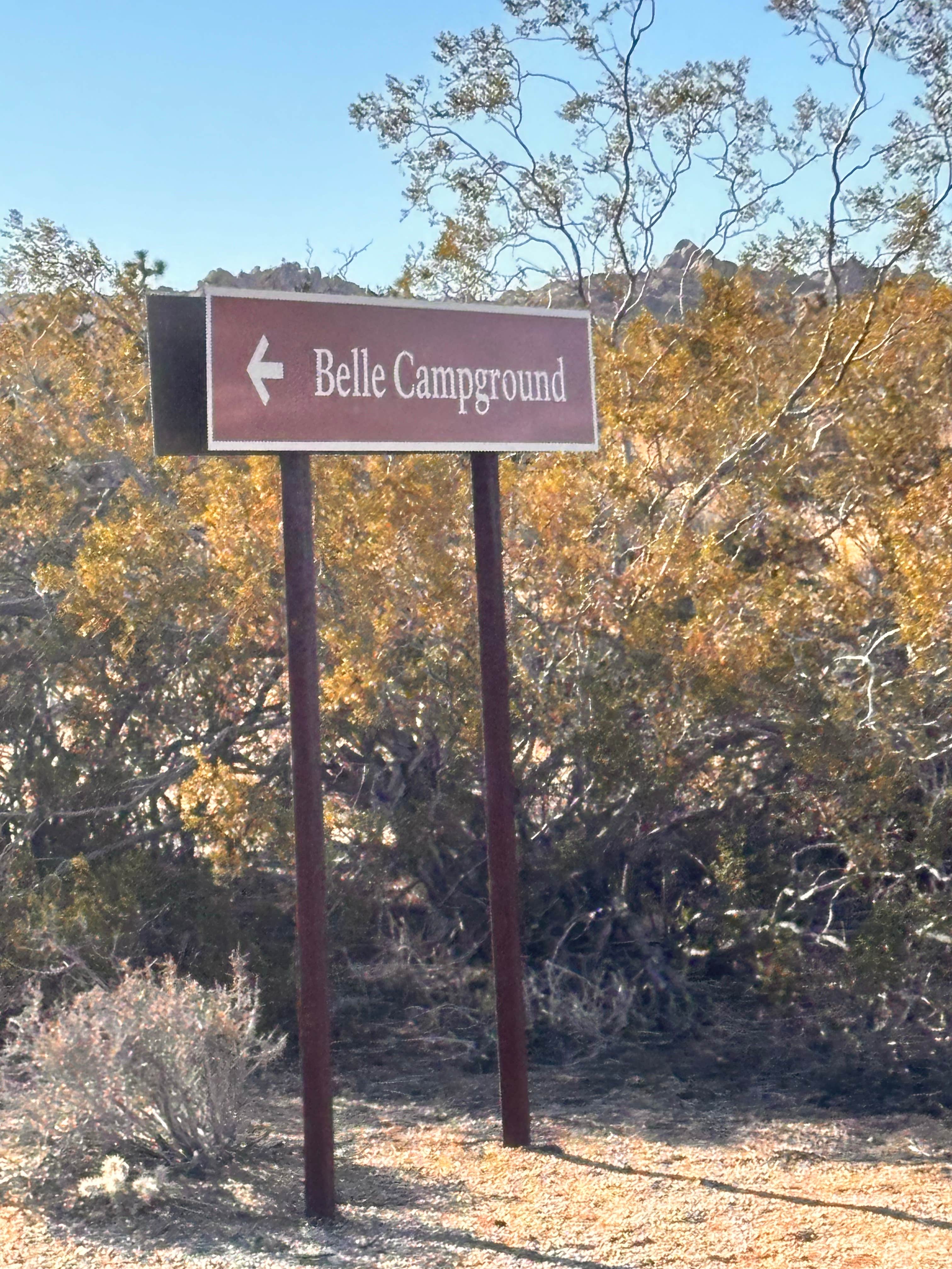 Camper submitted image from Belle Campground — Joshua Tree National Park - 4