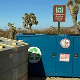 Review photo of Belle Campground — Joshua Tree National Park by Jennifer H., January 12, 2024