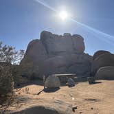 Review photo of Belle Campground — Joshua Tree National Park by Jennifer H., January 12, 2024