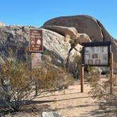 Review photo of Belle Campground — Joshua Tree National Park by Jennifer H., January 12, 2024