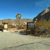 Review photo of Belle Campground — Joshua Tree National Park by Jennifer H., January 12, 2024