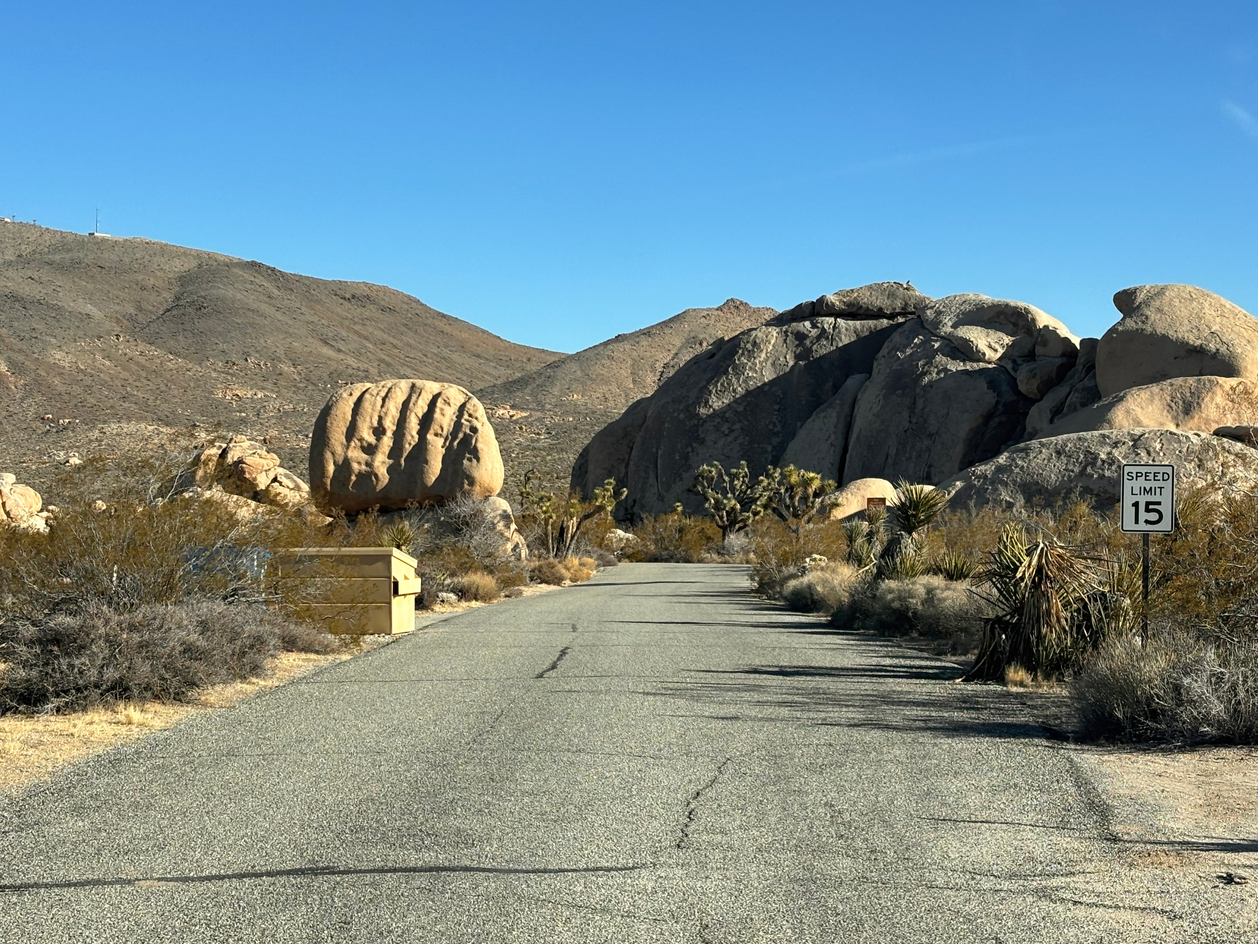 Camper submitted image from Belle Campground — Joshua Tree National Park - 5
