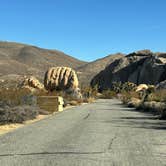 Review photo of Belle Campground — Joshua Tree National Park by Jennifer H., January 12, 2024