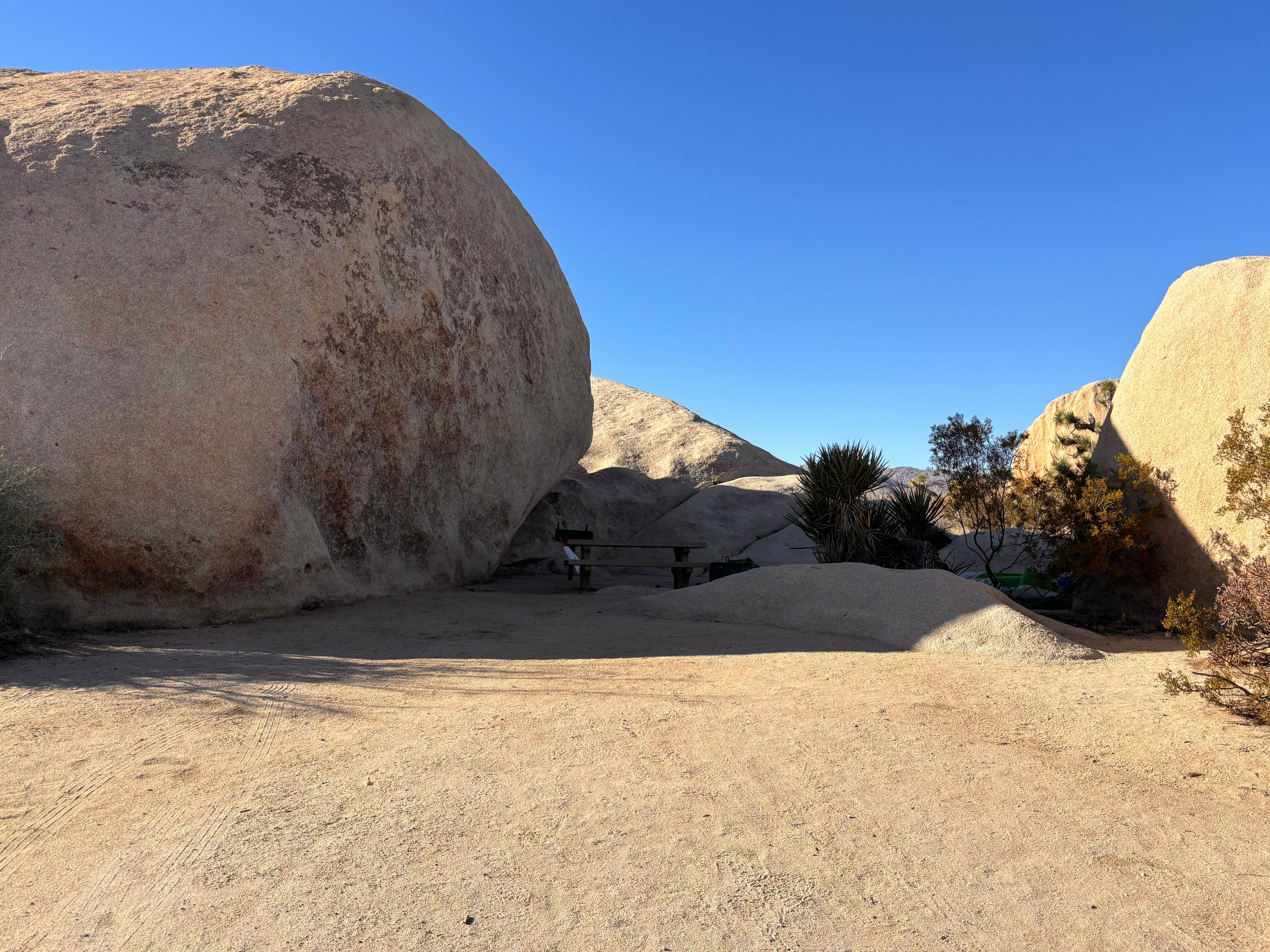 Camper submitted image from Belle Campground — Joshua Tree National Park - 3