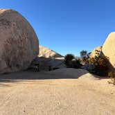 Review photo of Belle Campground — Joshua Tree National Park by Jennifer H., January 12, 2024