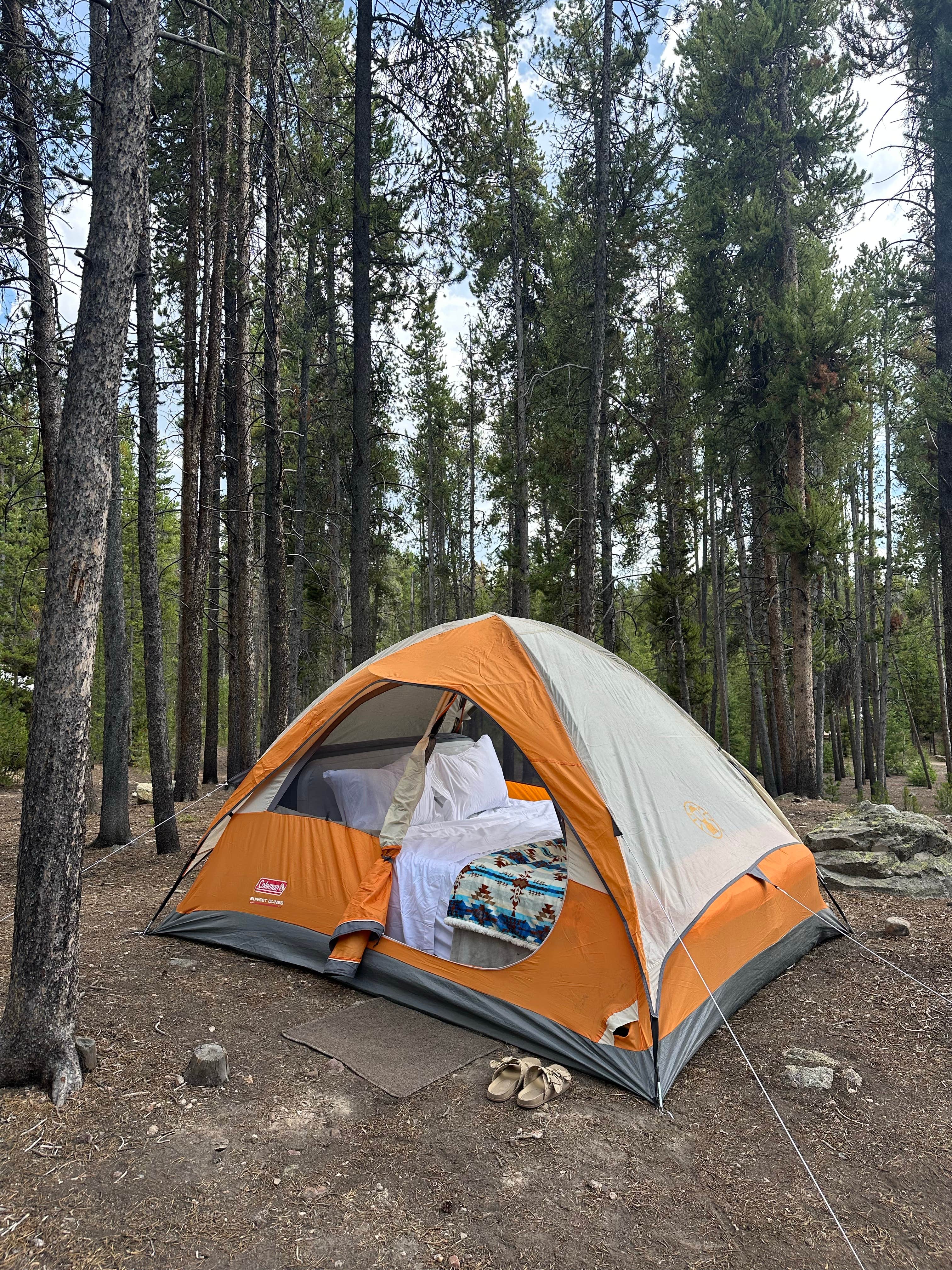 Rachel T.'s photo at Belle Of Colorado — Psicc near Leadville, CO