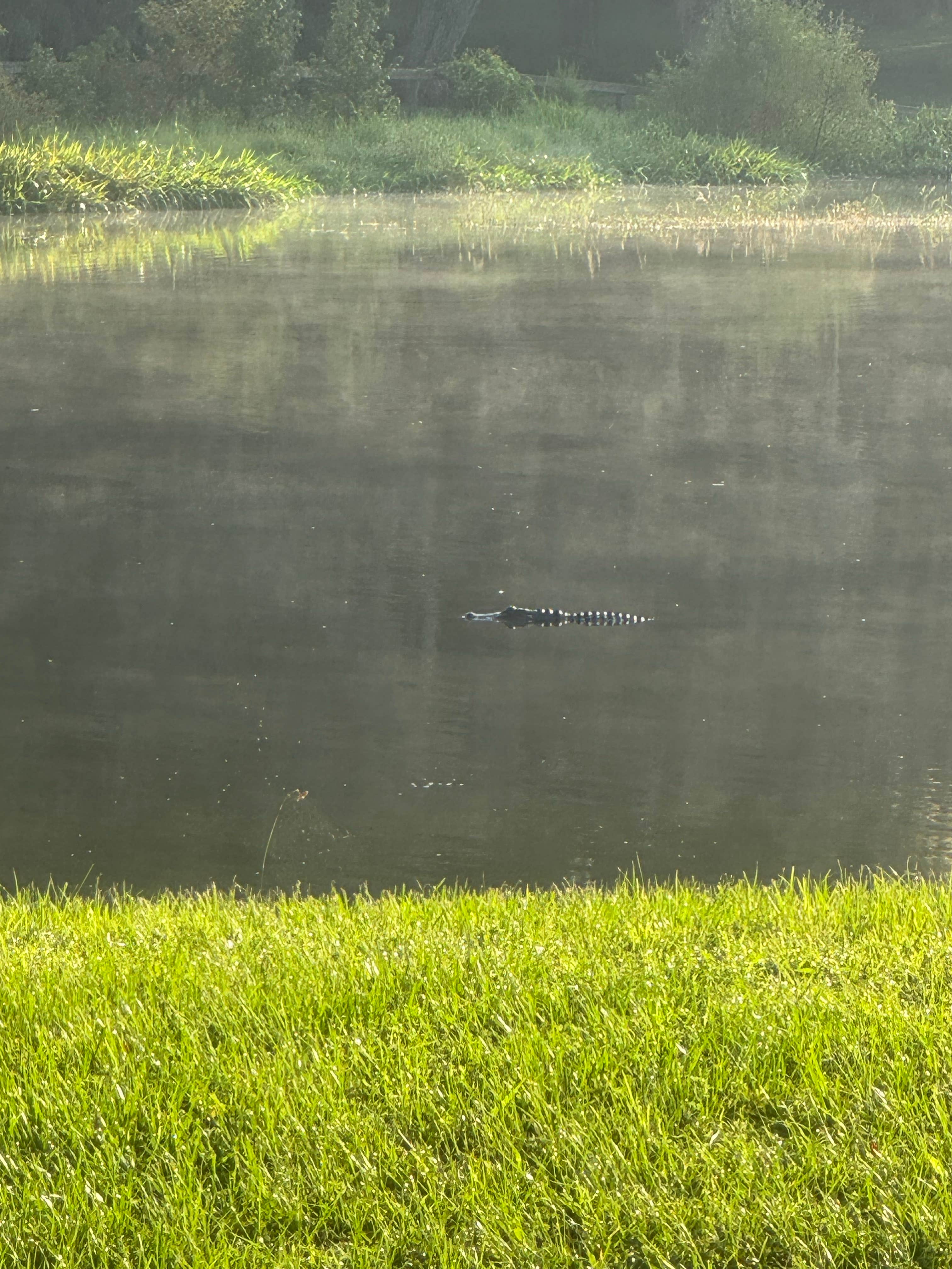 Camper-submitted photo at Belle Parc RV Resort near Brooksville, FL