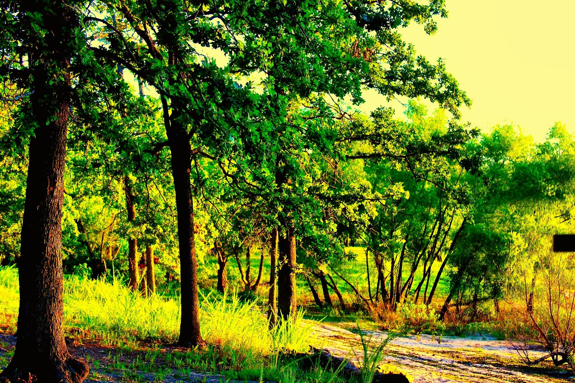 Camper-submitted photo at Belle Starr Park Campground near Eufaula Lake