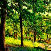 Review photo of Belle Starr Park Campground by Jon J., July 24, 2025
