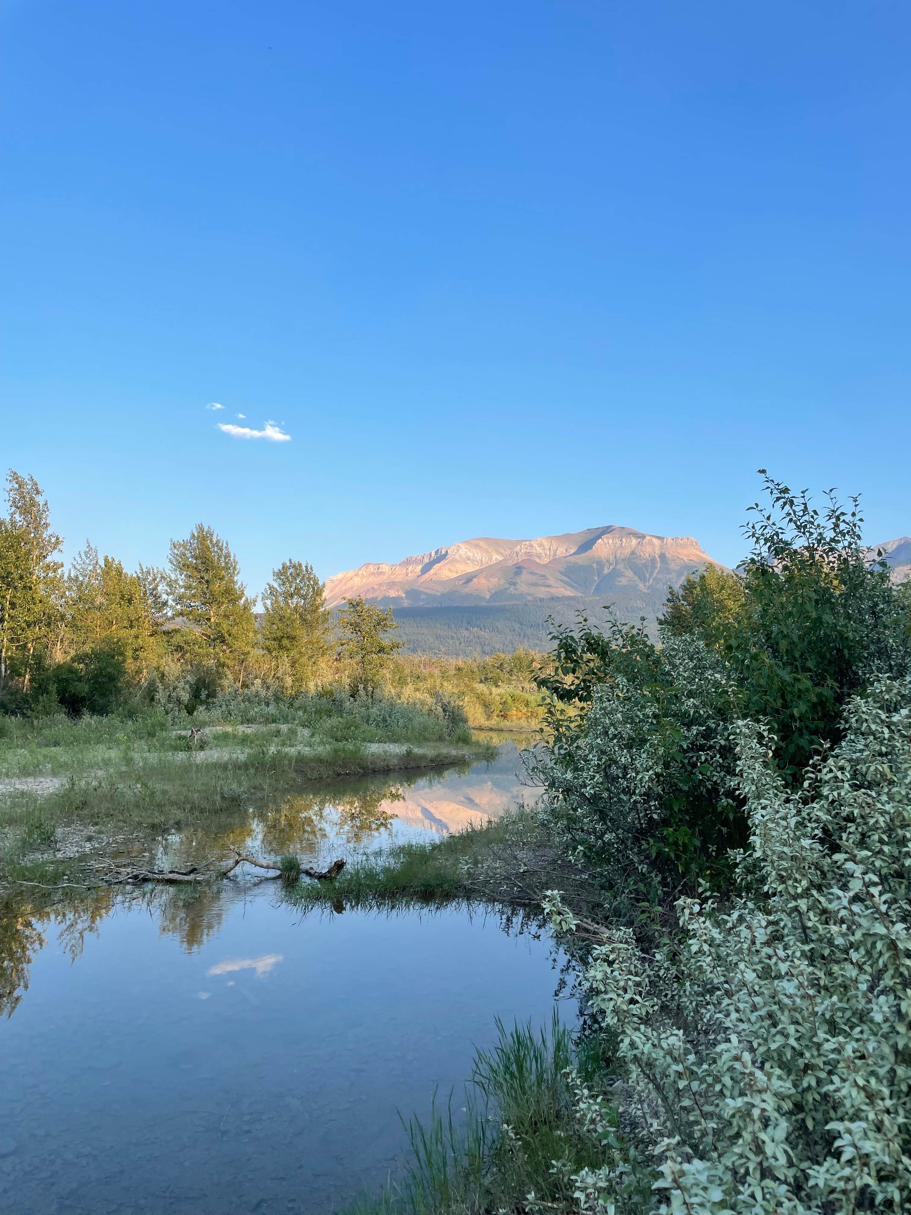 Belly River Camp