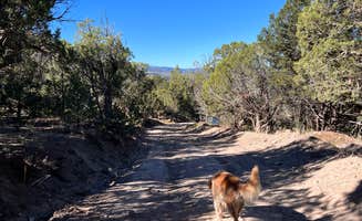 Nikki R.'s photo of camping with pets at Bellyache Road near Eagle, CO