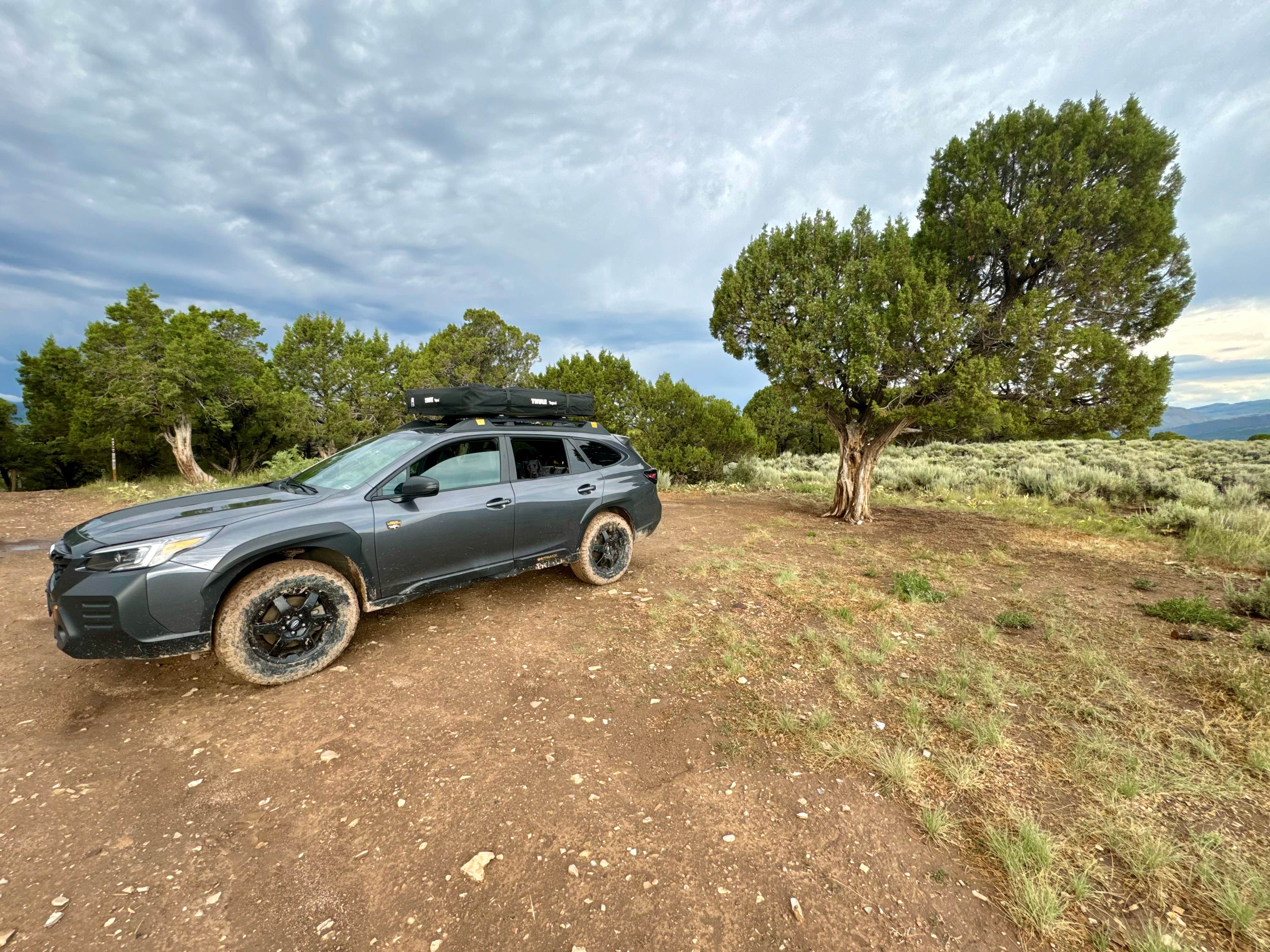 Camper-submitted photo at Bellyache Road near Minturn, CO