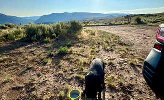 AJ F.'s photo of camping with pets at Bellyache Road near White River National Forest