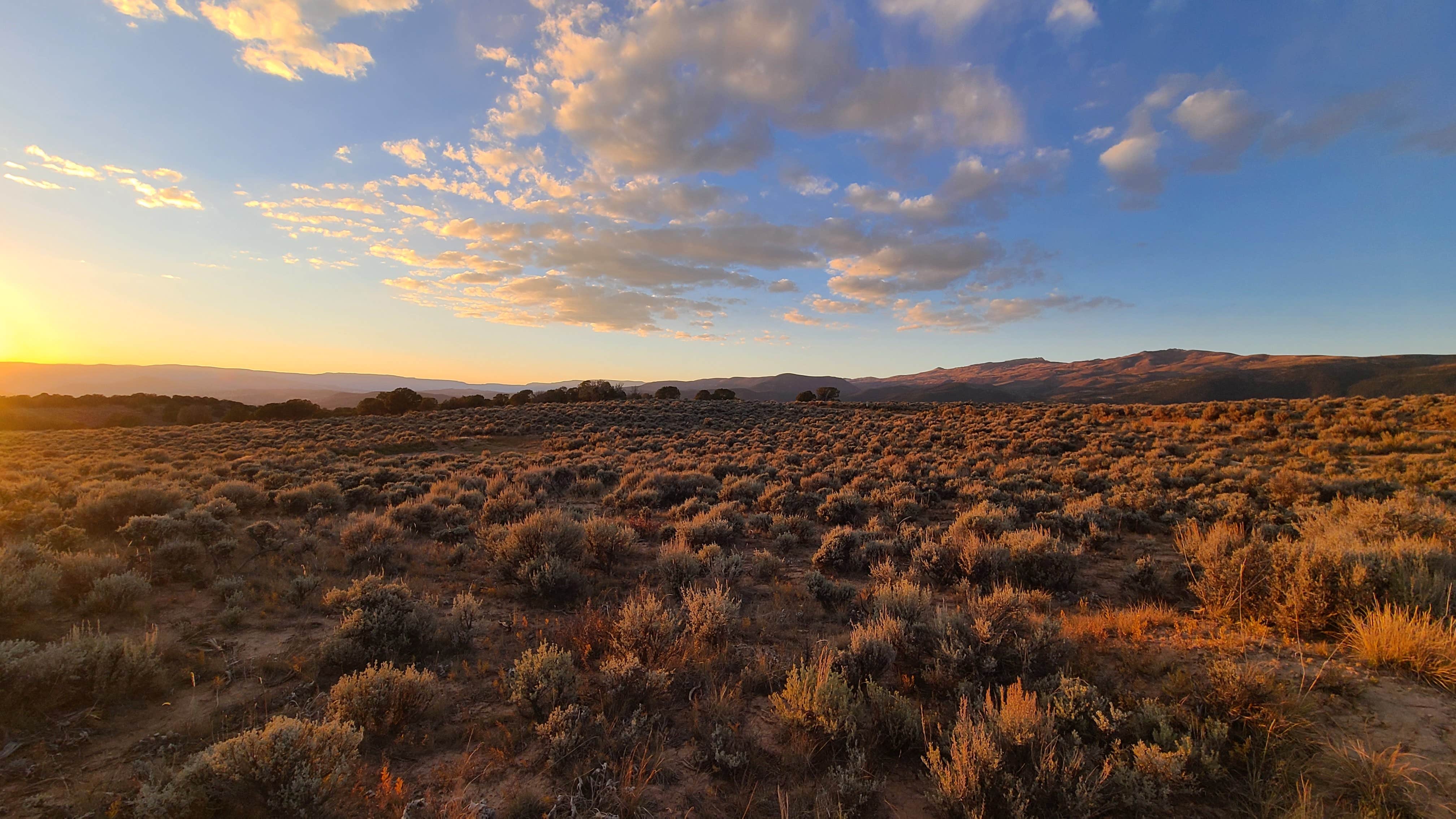 Adam D.'s photo of a dispersed camping area at Bellyache Road near Glenwood Springs, CO