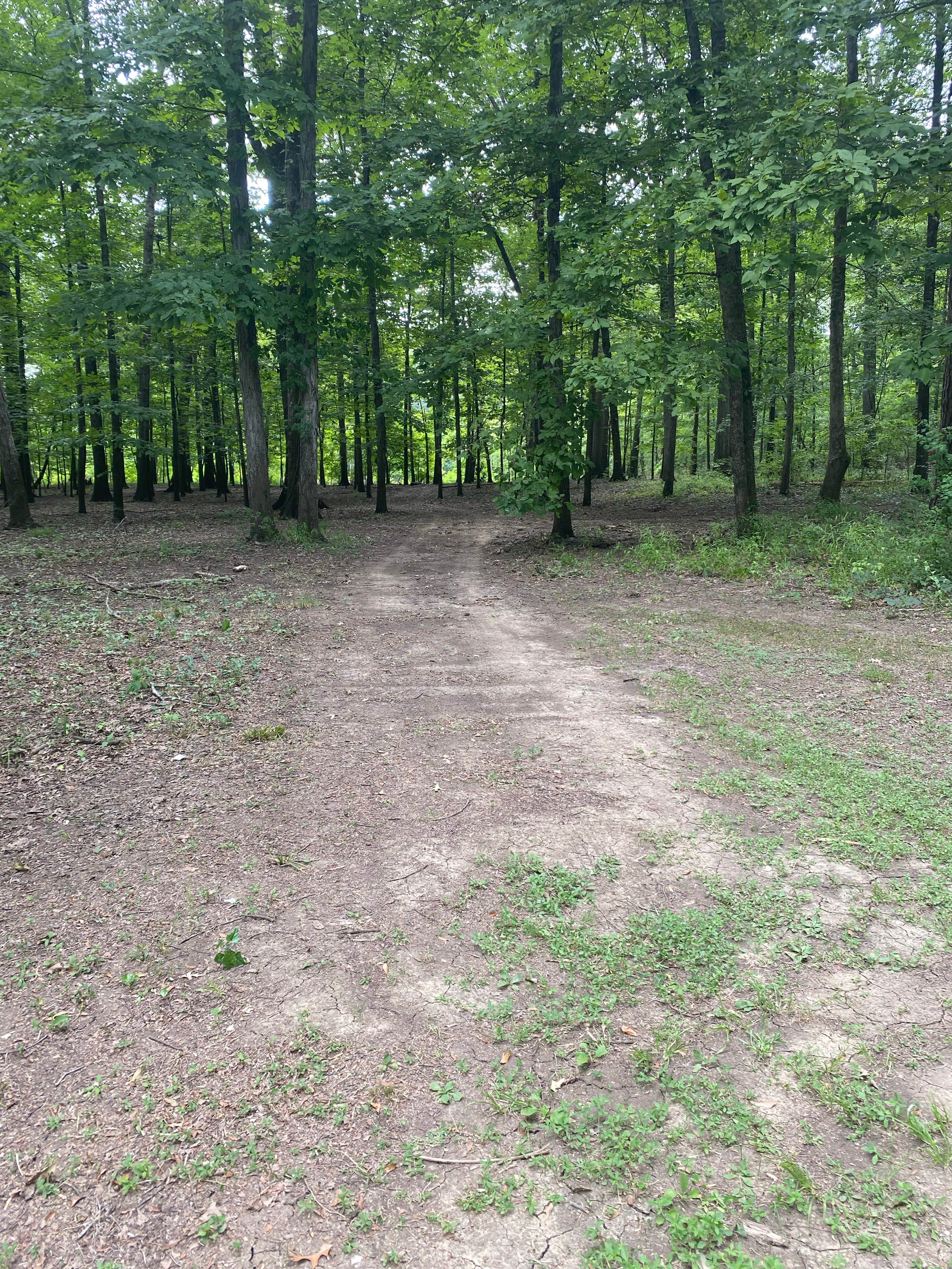 Camper-submitted photo at Belmont Park — Black Warrior And Tombigbee Lakes near Gallion, AL