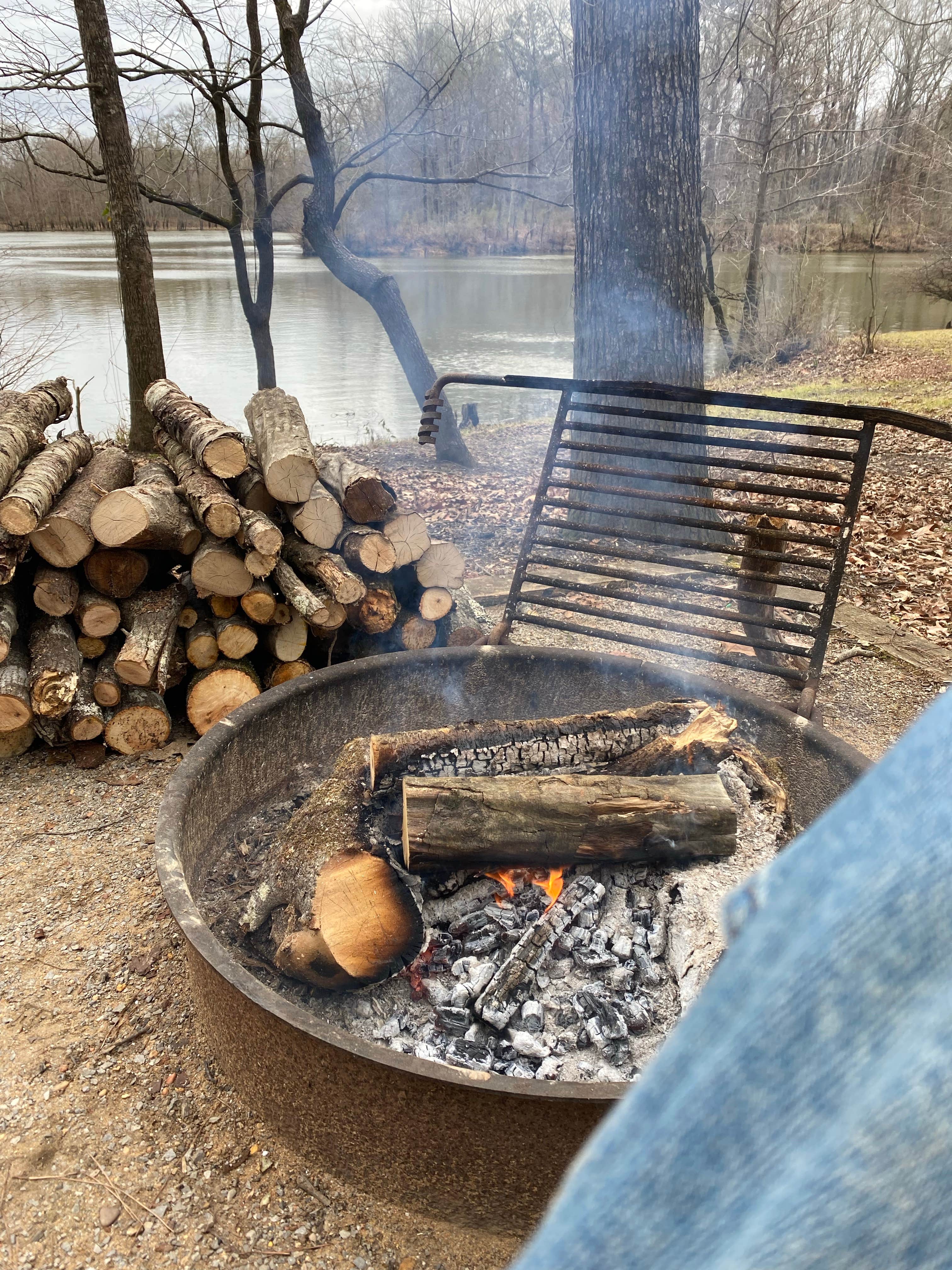 Camper submitted image from Belmont Park — Black Warrior And Tombigbee Lakes - 1