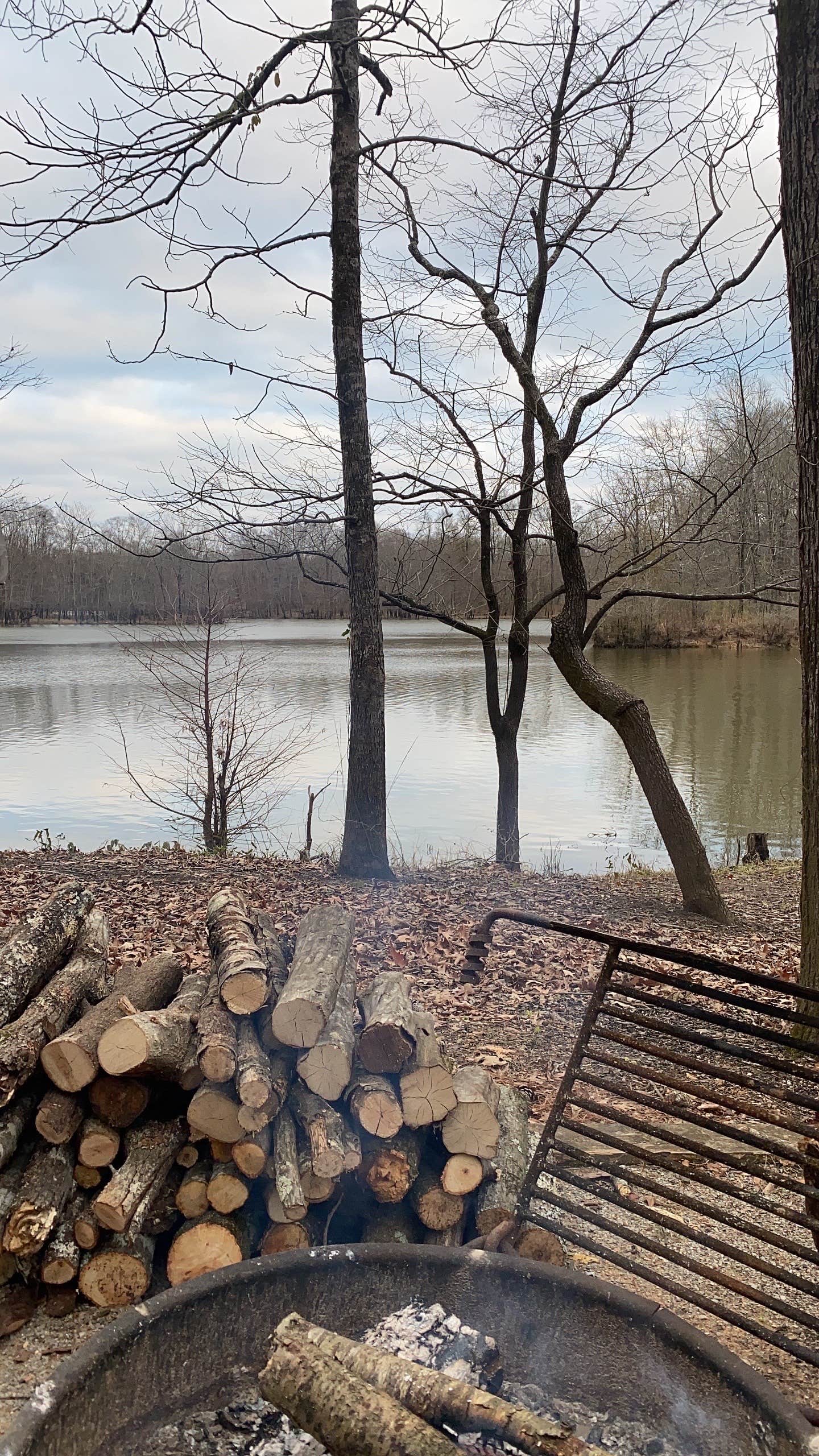 Camper-submitted photo at Belmont Park — Black Warrior And Tombigbee Lakes near Gallion, AL