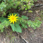 Review photo of Belt Creek on Hughesville Road by Tim , June 8, 2025