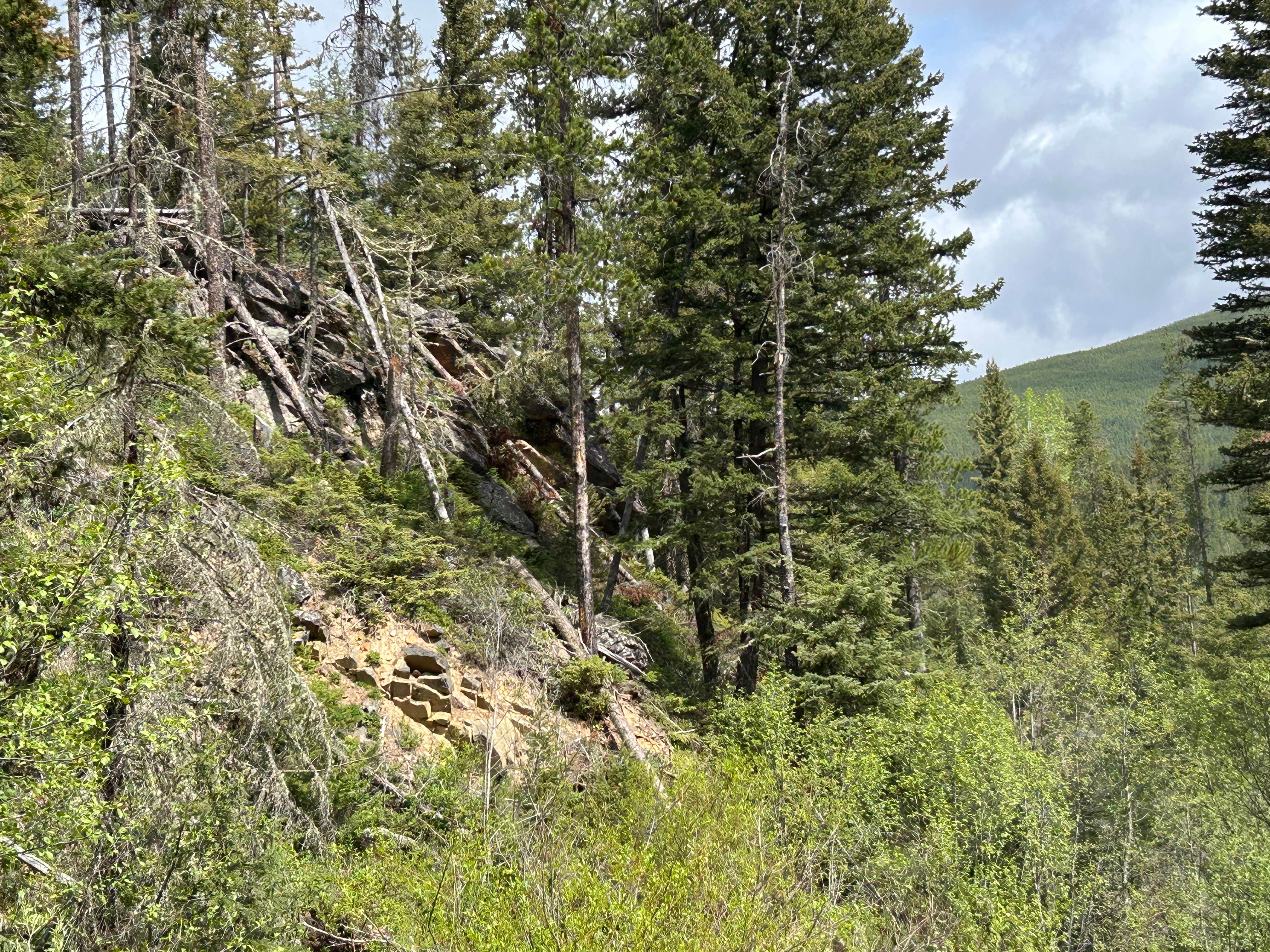 Camper-submitted photo at Belt Creek on Hughesville Road near Stanford, MT