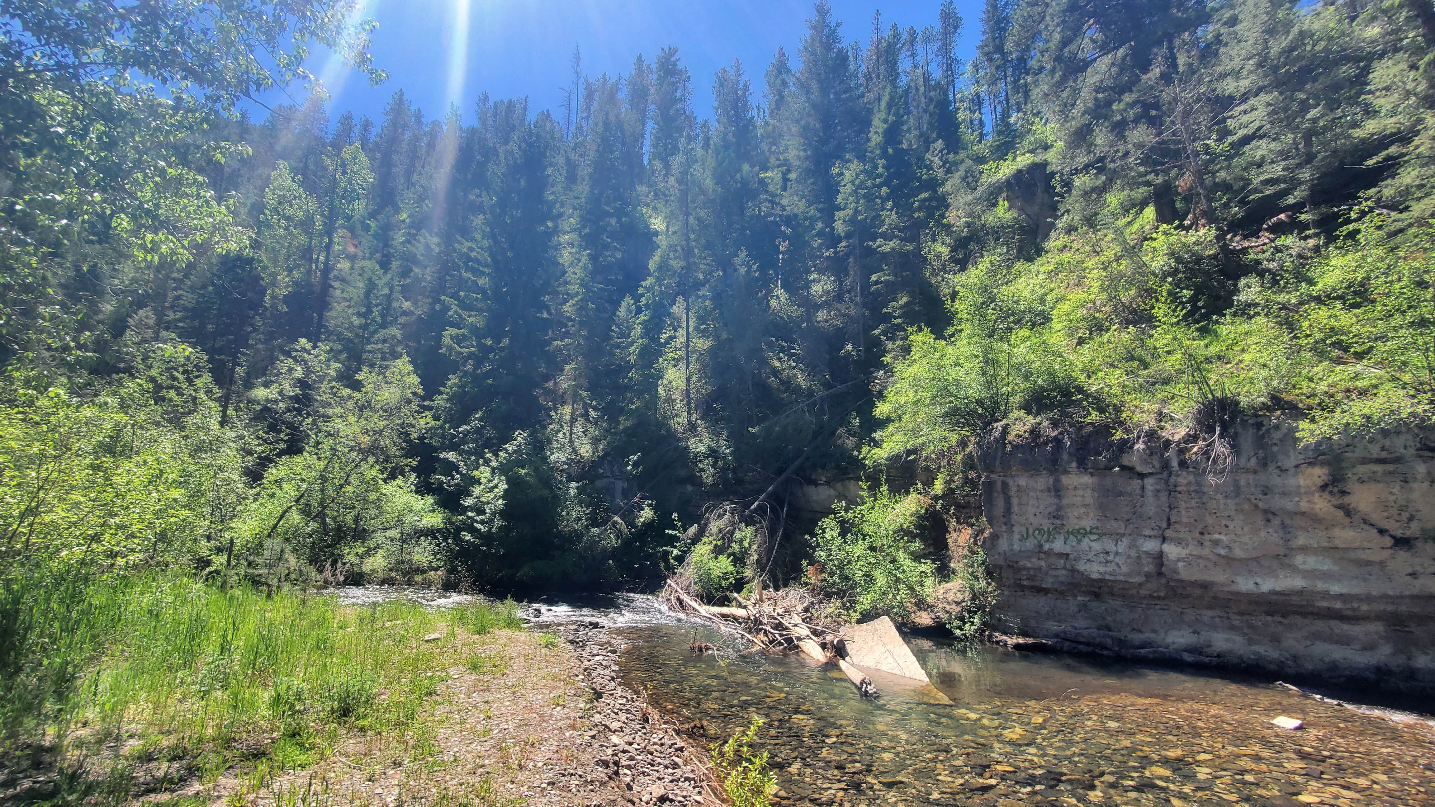 Norma D.'s photo of a dispersed camping area at Belt Creek on Hughesville Road near Monarch, MT