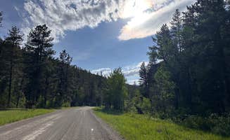 StaceeQ  Q.'s photo of a dispersed camping area at Belt Creek on Hughesville Road near Lewis and Clark National Forest