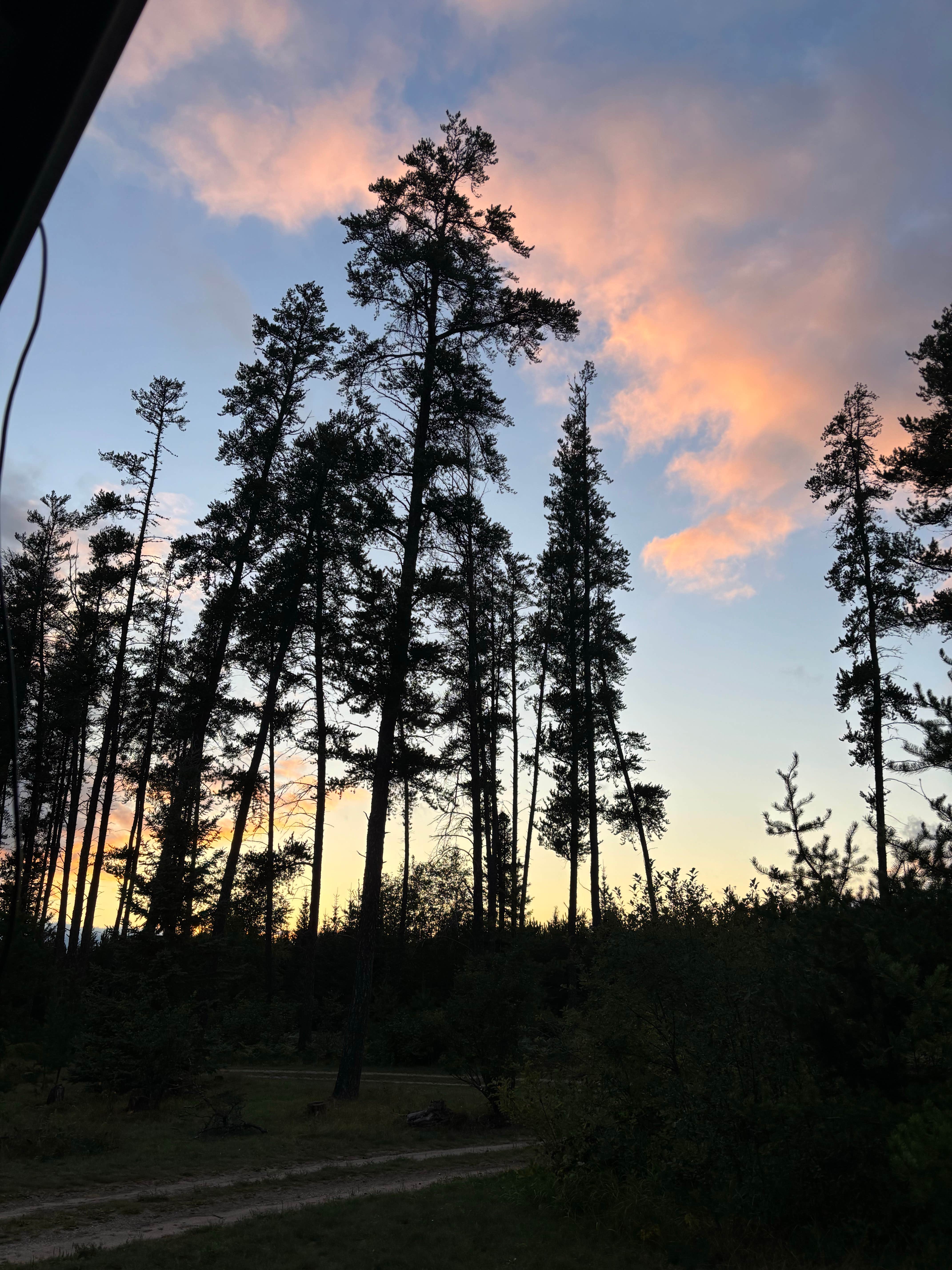 Camper-submitted photo at Blueberry Hill Campground near Roseau, MN
