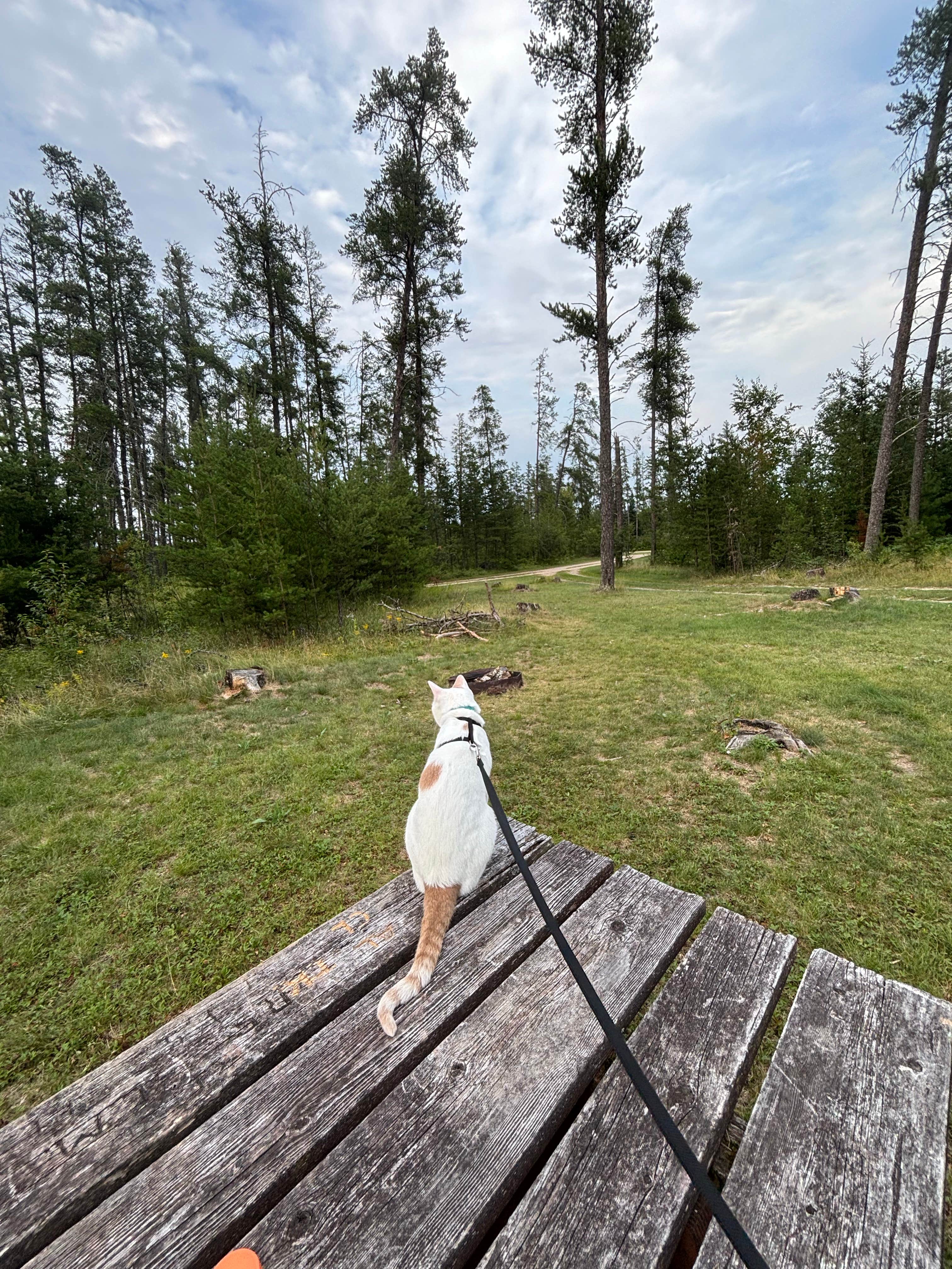 Blueberry Hill Campground