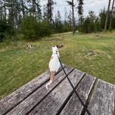 Review photo of Blueberry Hill Campground by Claire G., August 16, 2026
