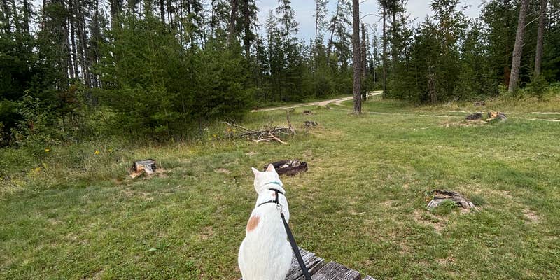 Camper submitted image from Blueberry Hill Campground