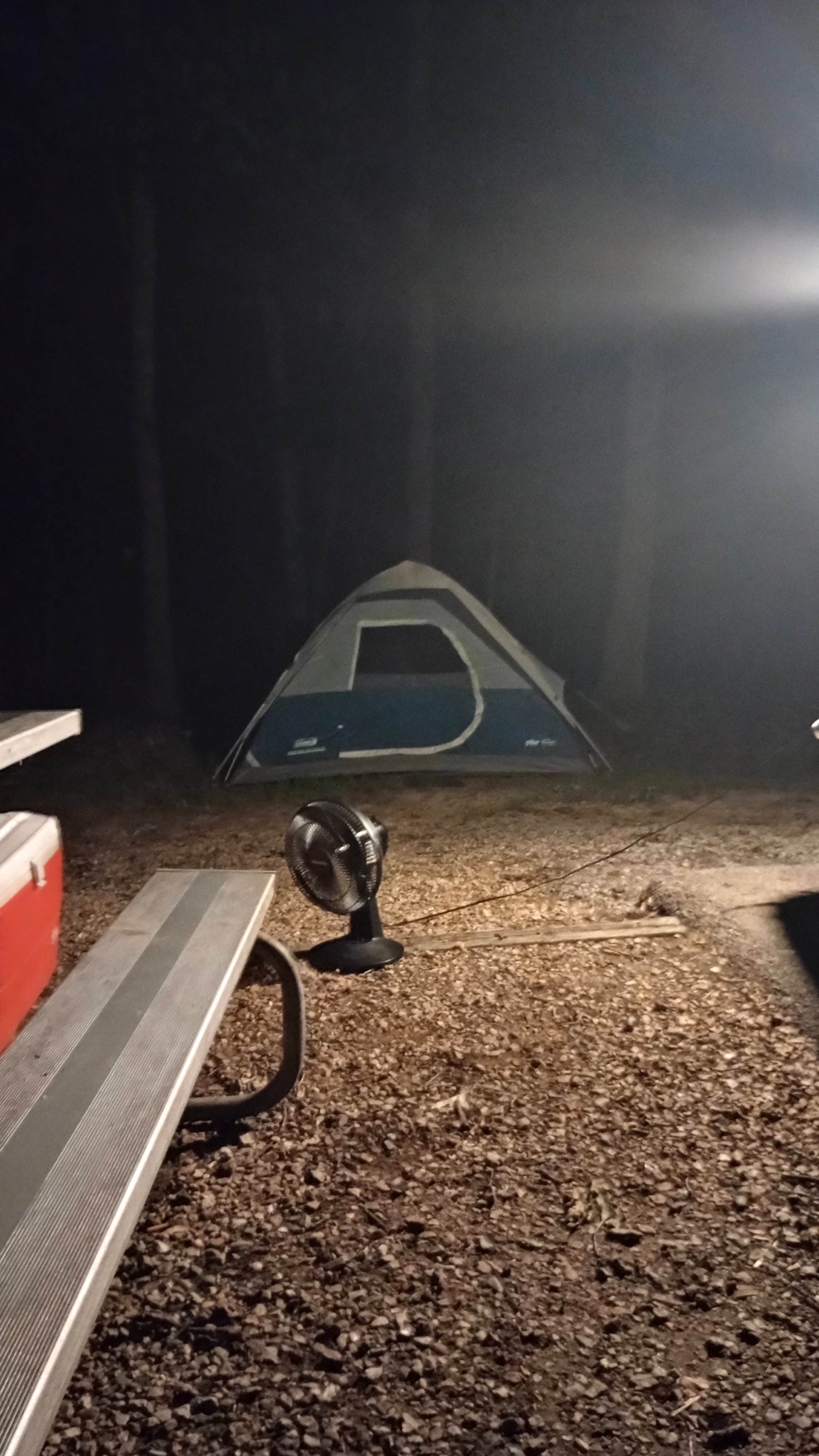 Camper submitted image from Ben Branch Lake Conservation Area - 1
