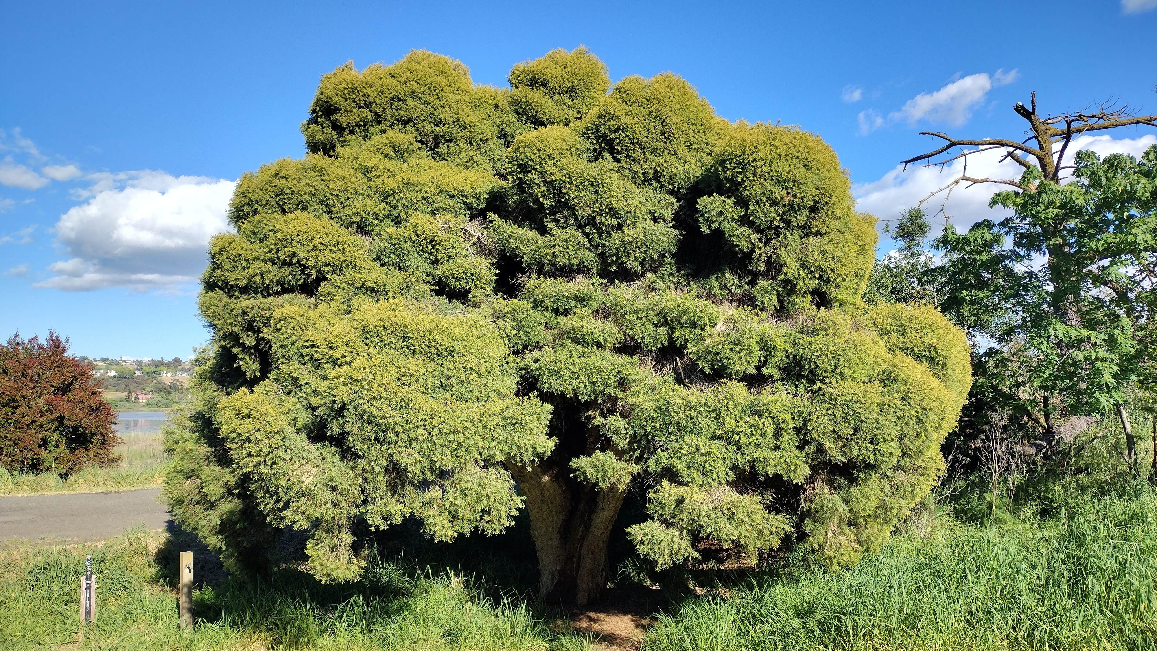 Camper-submitted photo at Benicia State Recreation Area near Pittsburg, CA
