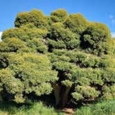 Review photo of Benicia State Recreation Area by Leif A., April 15, 2026