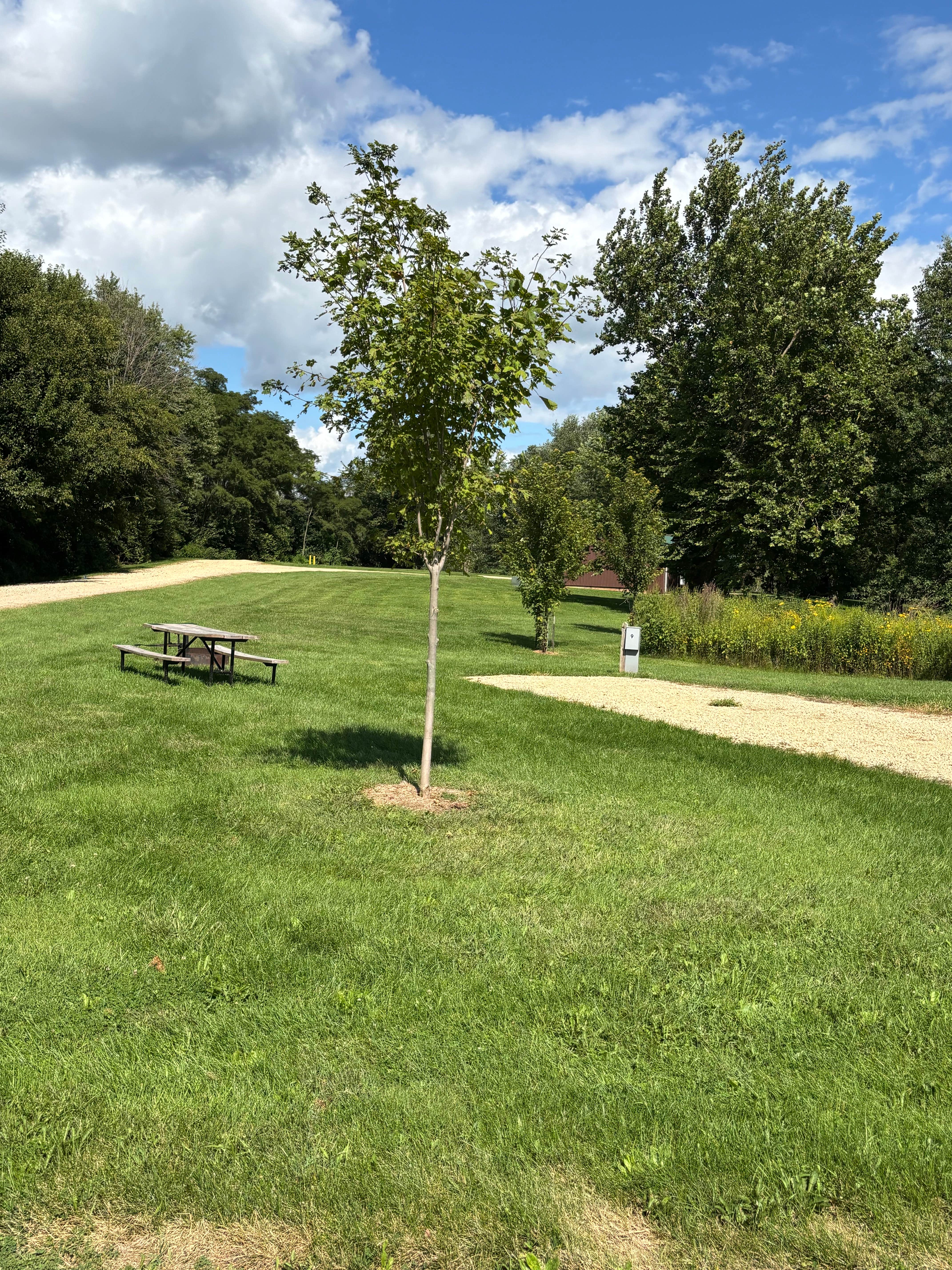 Camper-submitted photo at Bennett Park near Wheatland, IA