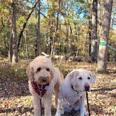 Review photo of Bennett springs state park by Shawn S., May 20, 2026