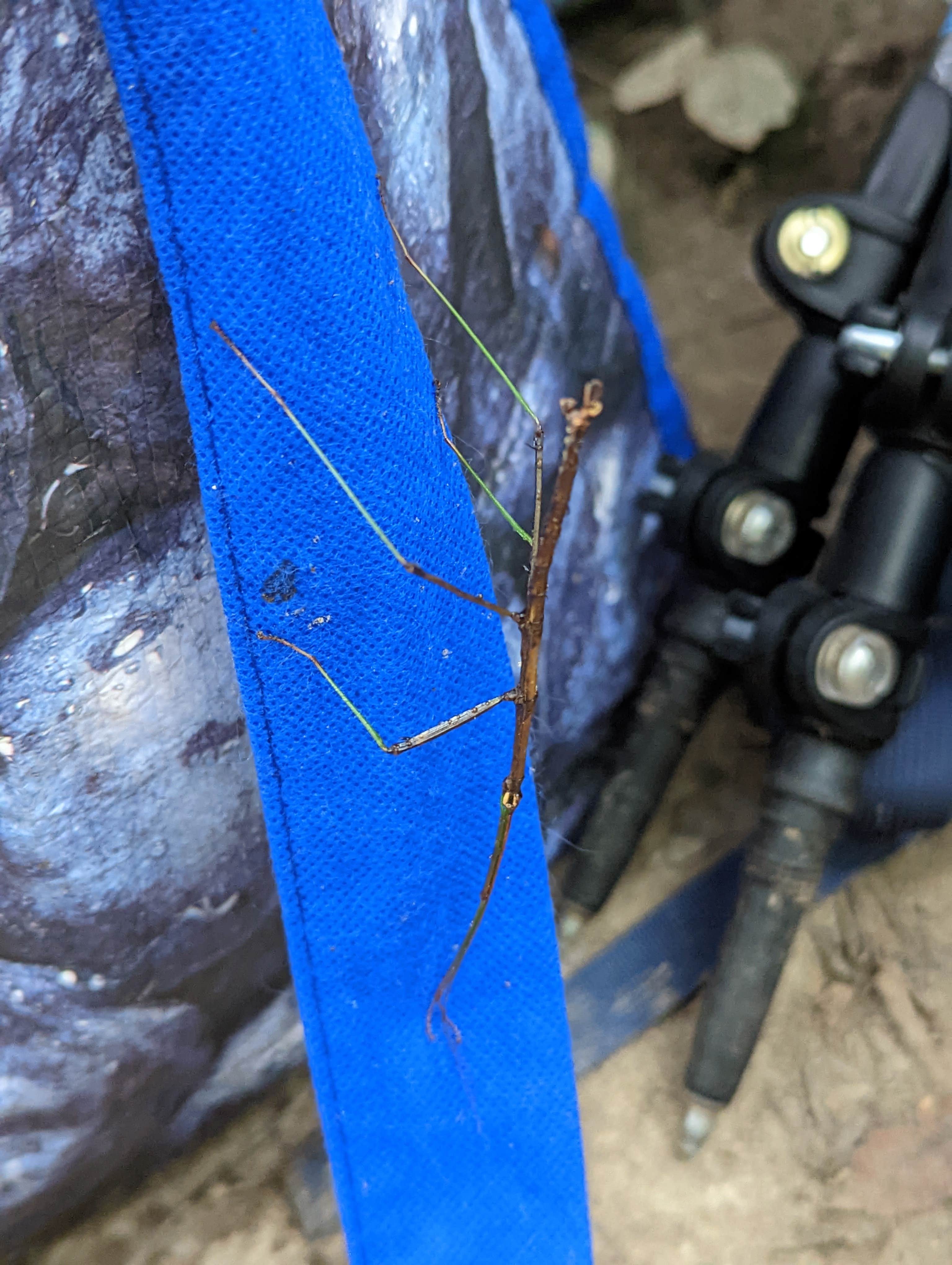 Camper-submitted photo at Benton's on the Baileys near Logan, OH